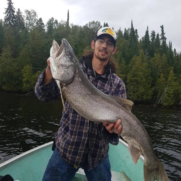 Meet your Posher, Matty - Picture 1 of 1